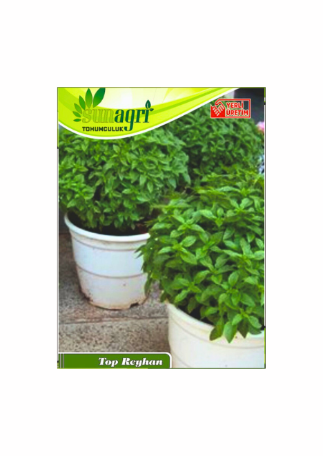 Top Reyhan Tohumu 100 adet tohum