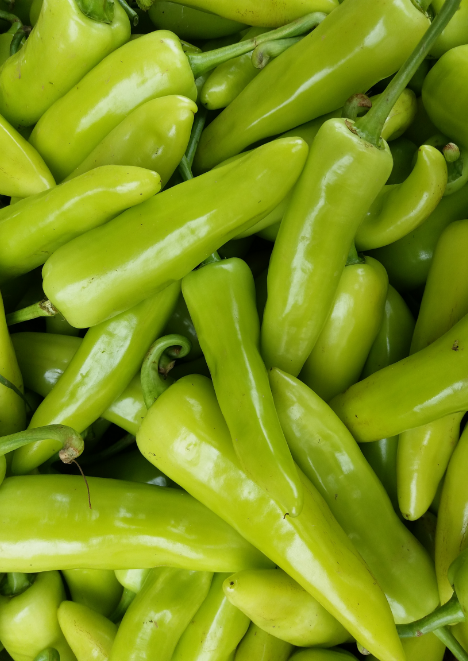 Yalova Çarliston Biber Tohumu 5 gr 