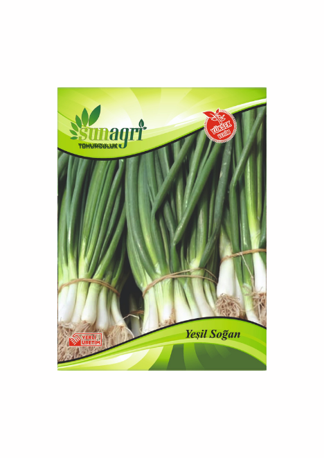 Yeşil Soğan Tohumu 2 gr
