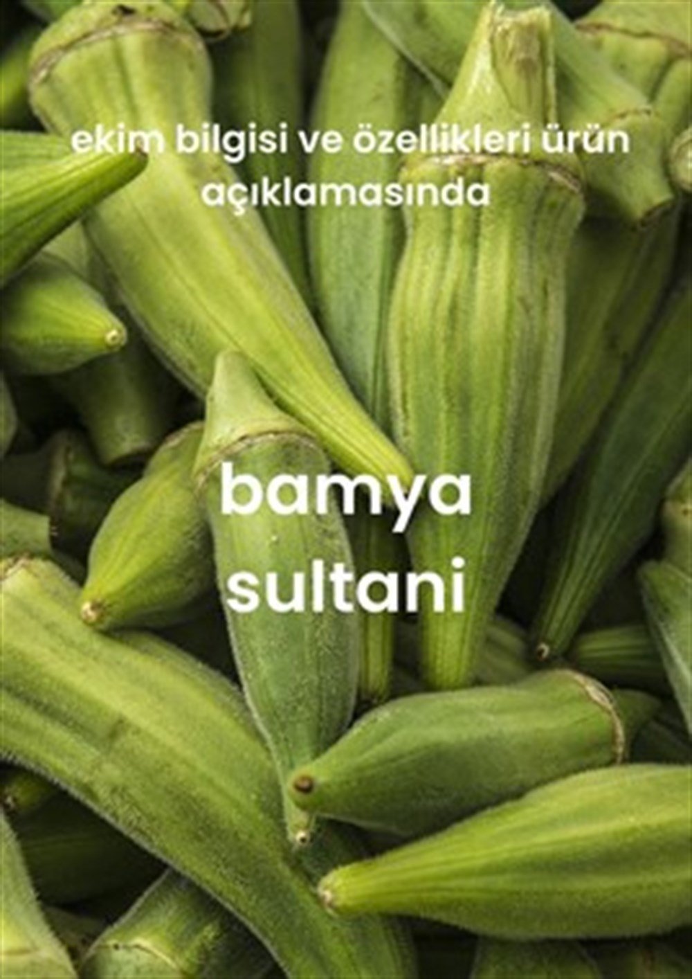 Yeşillik Tohumları 13 Çeşit