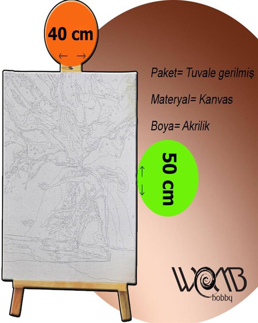 Doğanın Ruhu Sayılarla Boyama Seti 40x50 cm (Tuvale Gerili)