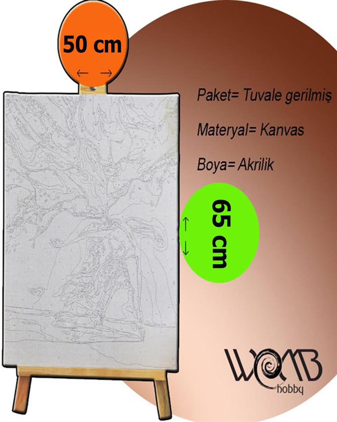 Kafesteki Güzel Sayılarla Boyama Seti 40x50 cm (Tuvale Gerili)