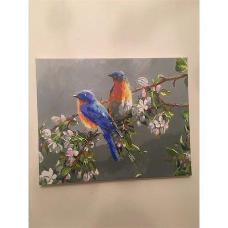 Mavi Kuşlar Sayılarla Boyama Seti 40x50 cm (Tuvale Gerili)