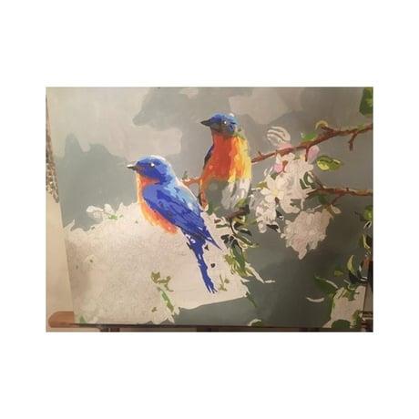 Mavi Kuşlar Sayılarla Boyama Seti 40x50 cm (Tuvale Gerili)