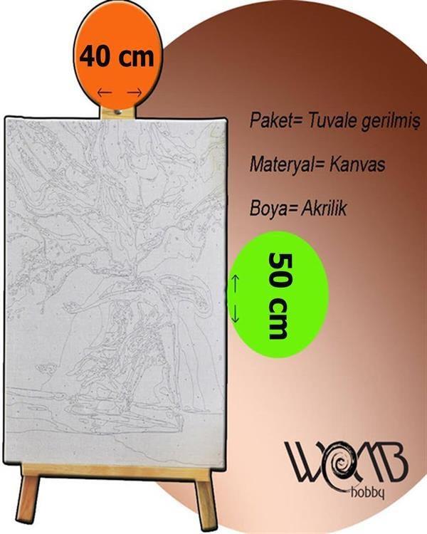 Soyut Kurukafa Sayılarla Boyama Seti  (Tuvale Gerili)