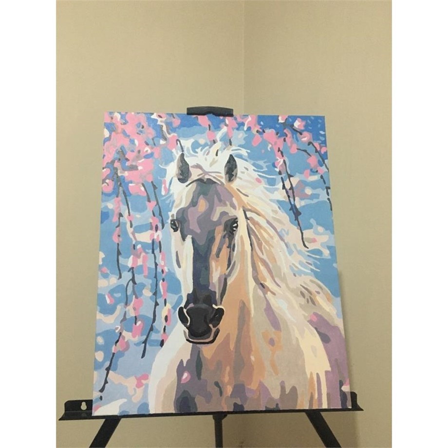 Yılkı Sayılarla Boyama Seti 50x65 cm (Tuvale Gerili)