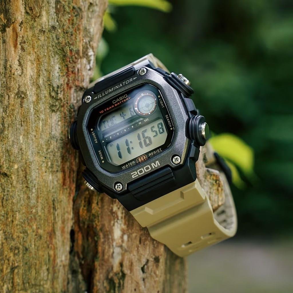 CASIO DW-291HX-5AVDF