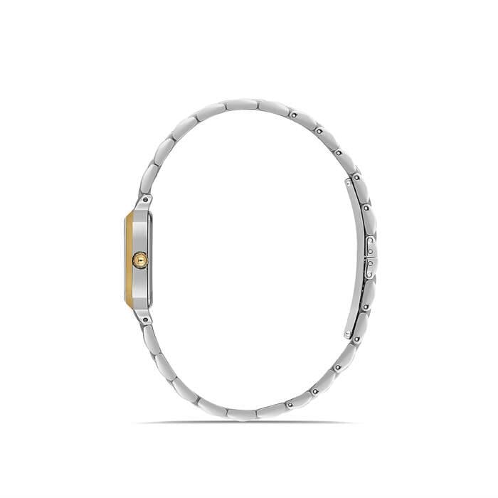 MOMENTUS CW321G-02TG