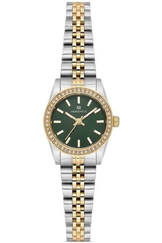 MOMENTUS SW262T-15SG