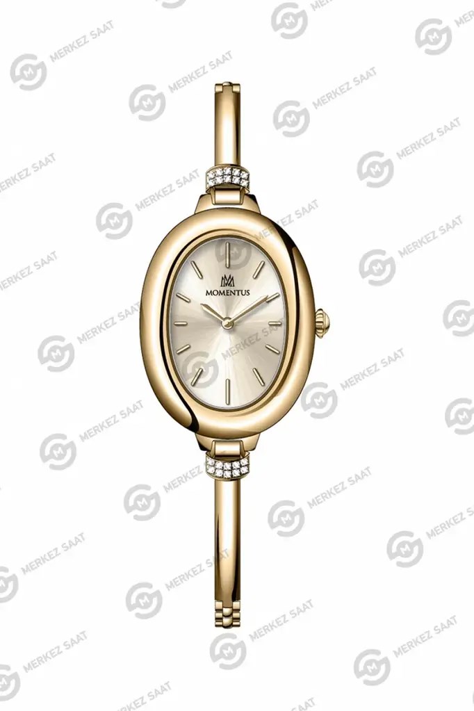 MOMENTUS SW294G-08SG