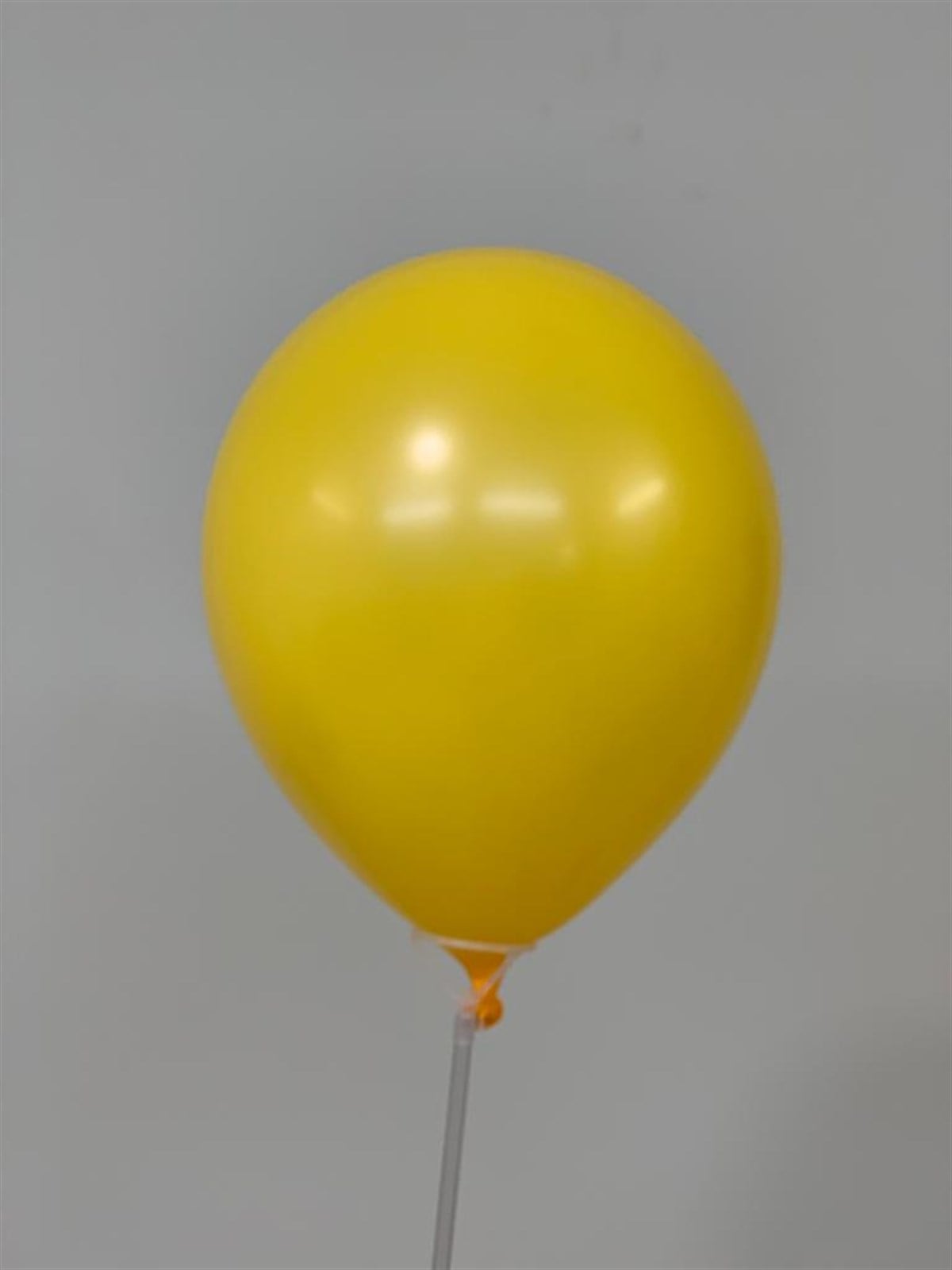 Hardal Balon 12 İnç - 10 Adet