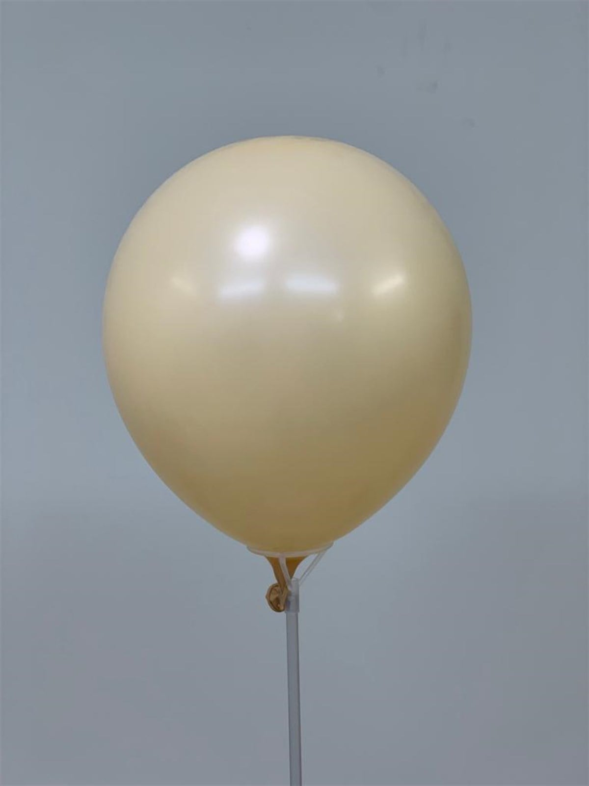 Sütlü Kahve Balon 5 İnç - 10 Adet