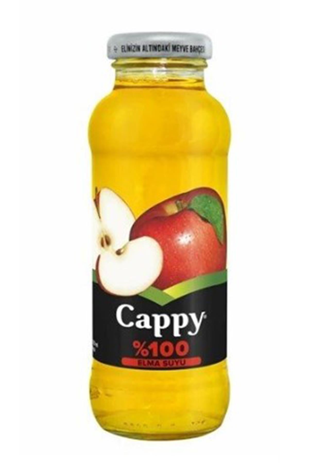 CAPPY % 100 ELMA SUYU 250 ML