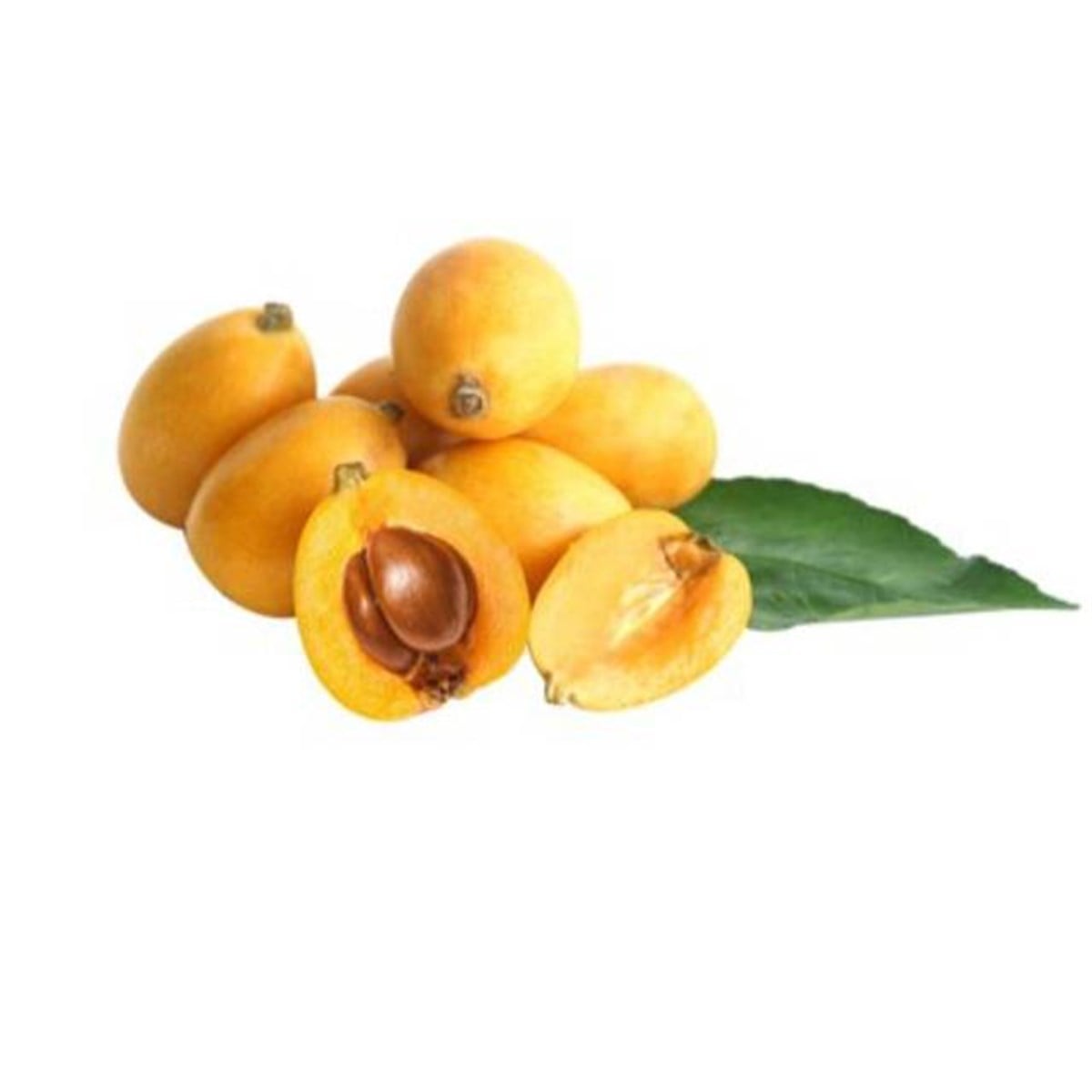 MALTA ERİK