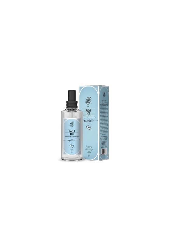 KOLONYA & DEZENFEKTANREBUL009.06.0356REBUL KOLONYA ICE 100 MLREBUL KOLONYA ICE 100 ML