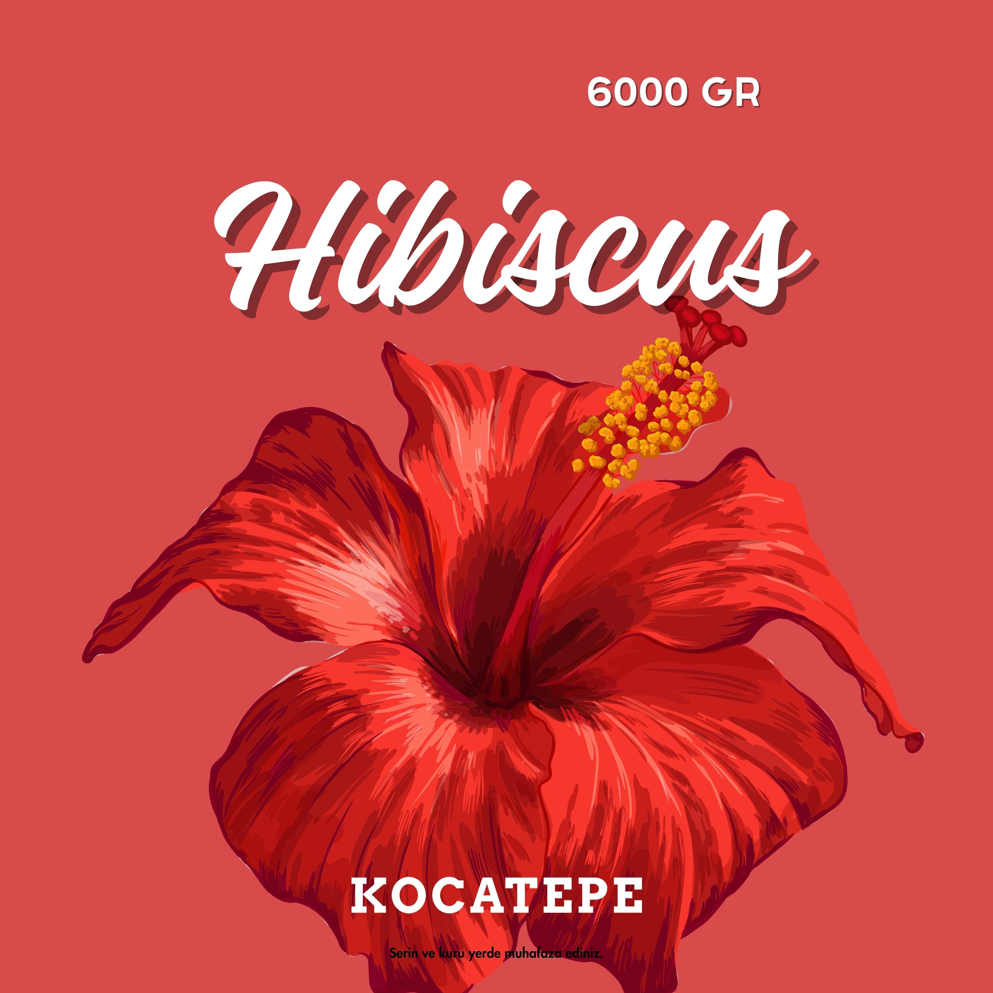 6000 GR HIBISCUS