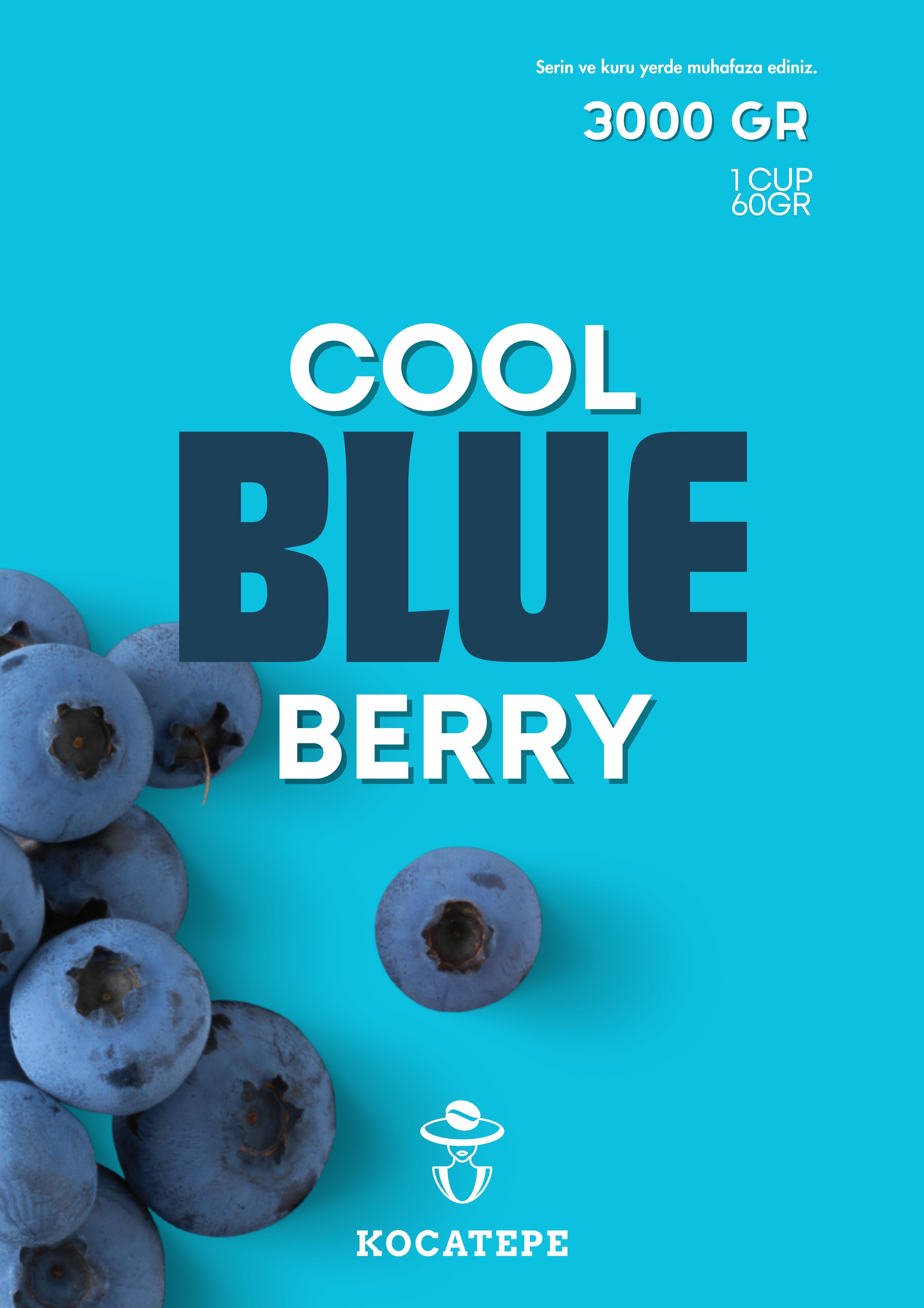 ÖZÜT-COOL BLUE BERRY 3000 GR