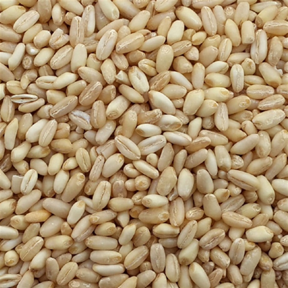 Has Aşurelik Buğday 25 kg