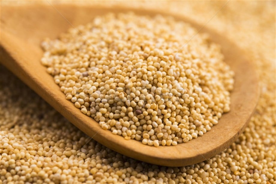 Orepa Haşhaş Sarı 5 kg