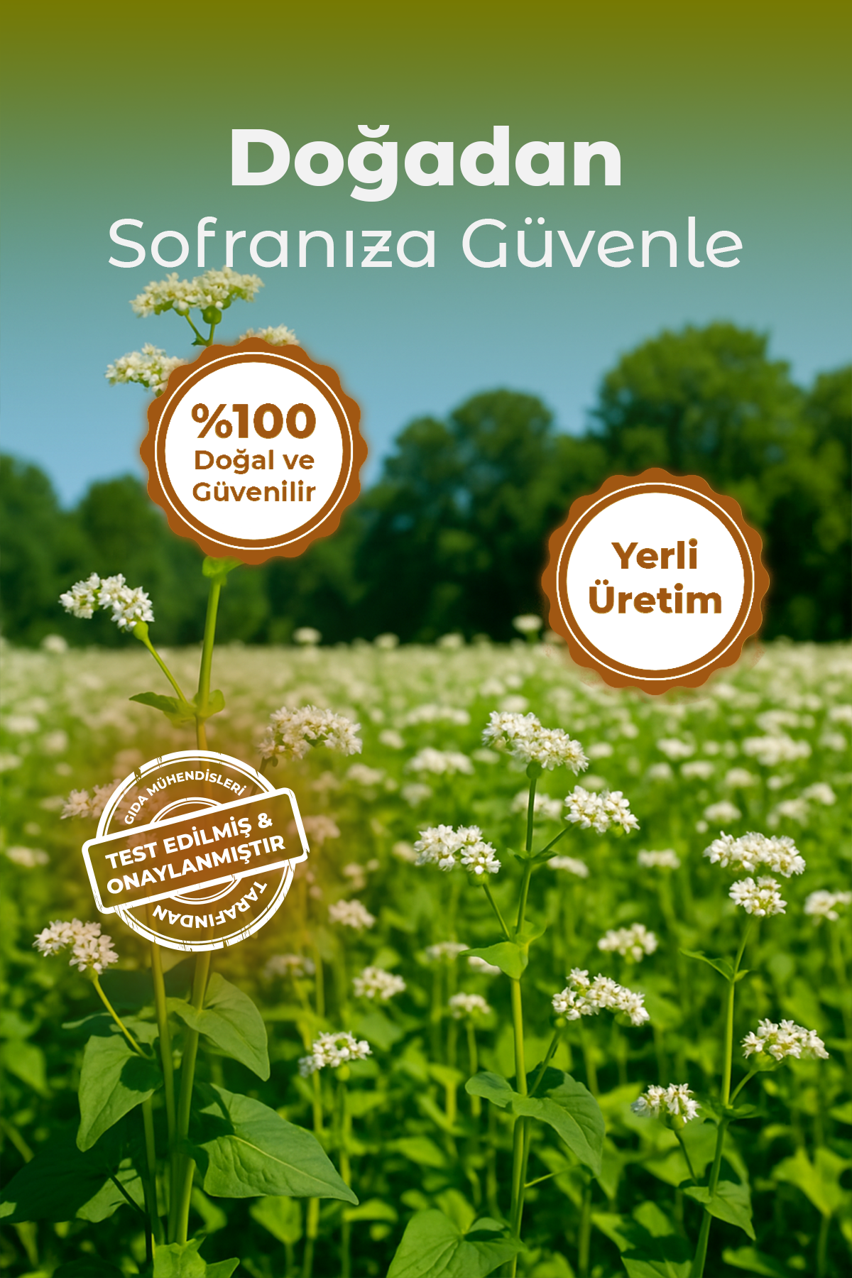 Polyfago Glutensiz Karabuğday Pandispanya Unu Karışımı 450 gr
