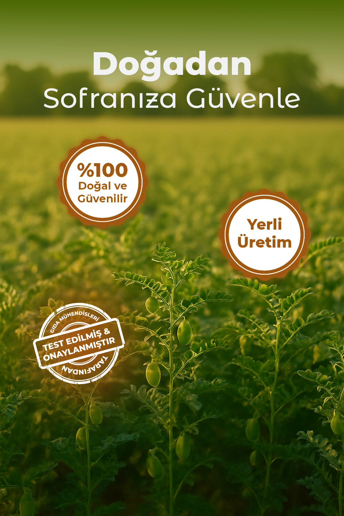 Polyfago Glutensiz Kavrulmuş Nohut Unu 500 gr