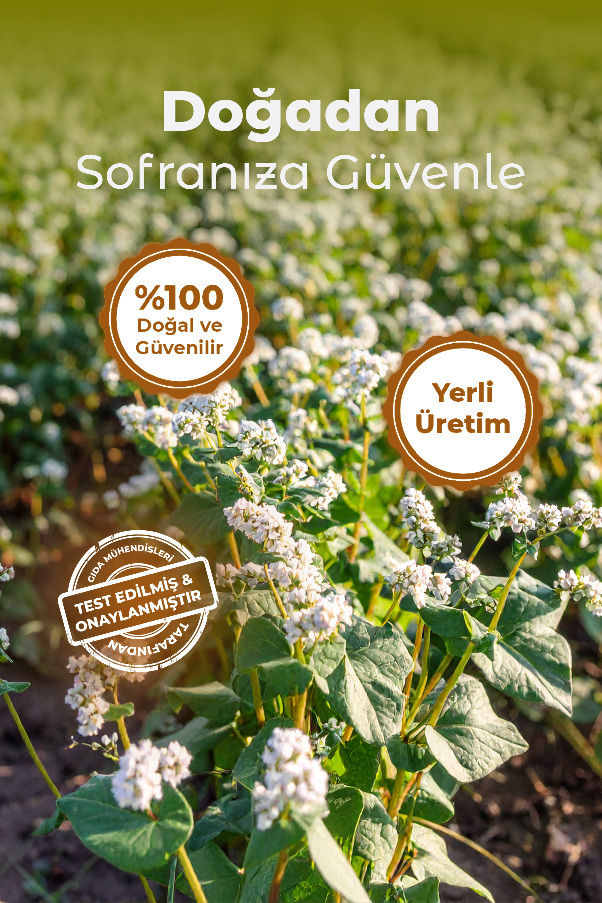 Polyfago Glutensiz Kurabiye ve Kek Karabuğday Unu Karışımı 500 gr