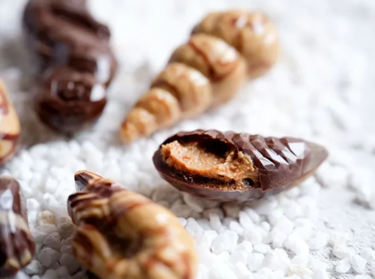 Puratos 4014446 Prali'Pop Bademli Mısırlı Pralin 2 kg