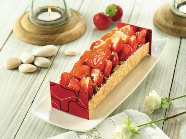 Puratos 4015693 Harmony Classic Rubi NN Sıcak Jöle 14 kg