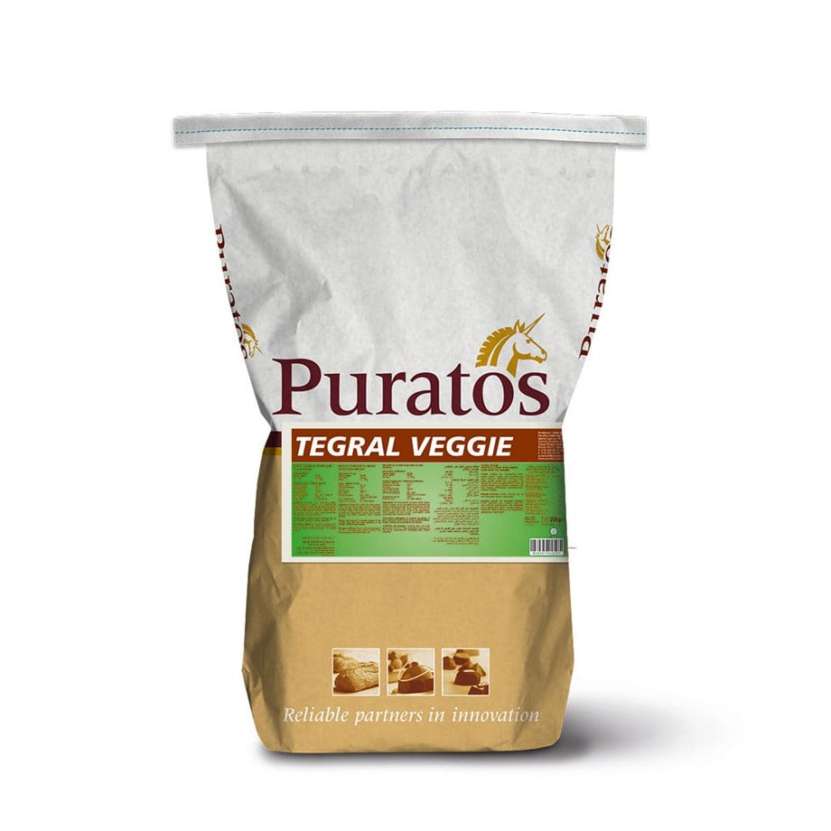 Puratos 4111887 Tegral Veggie Sebzeli Ekmek Karışımı 20 kg