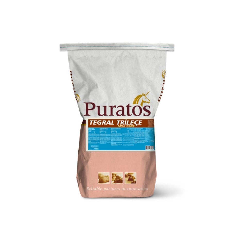 Puratos 4112000 Tegral Trileçe Toz Karışımı 10 kg