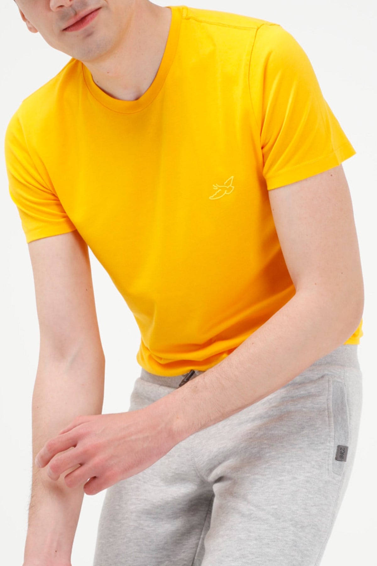 BRZ Collection Erkek Modal T-shirt