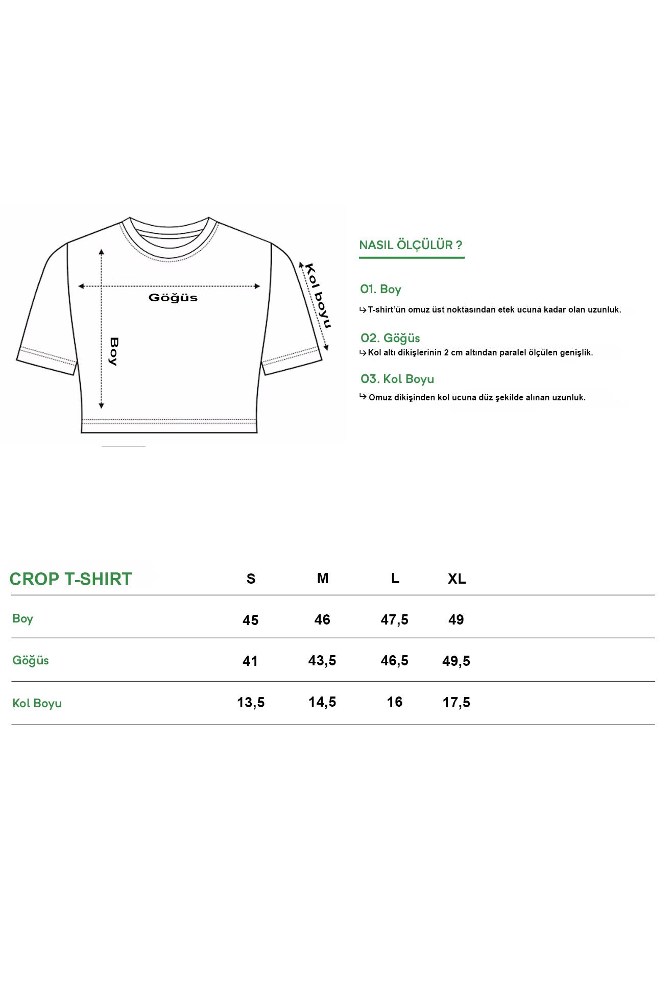 BRZ Collection Timeless Art Crop T-shirt Beyaz