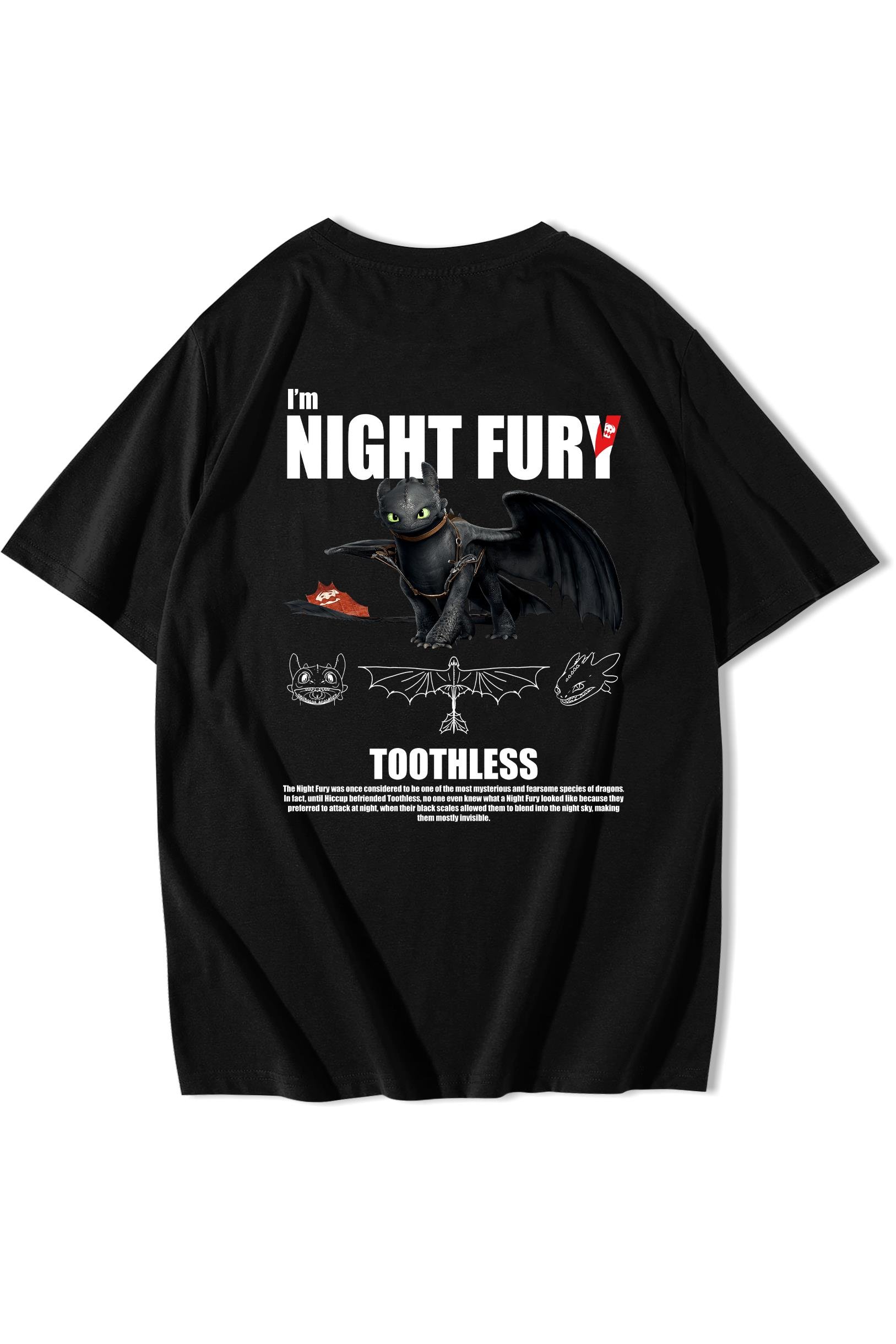 BRZ Collection Unisex Oversize Night Fury Ejderhanı Nasıl Eğitirsin T-shirt