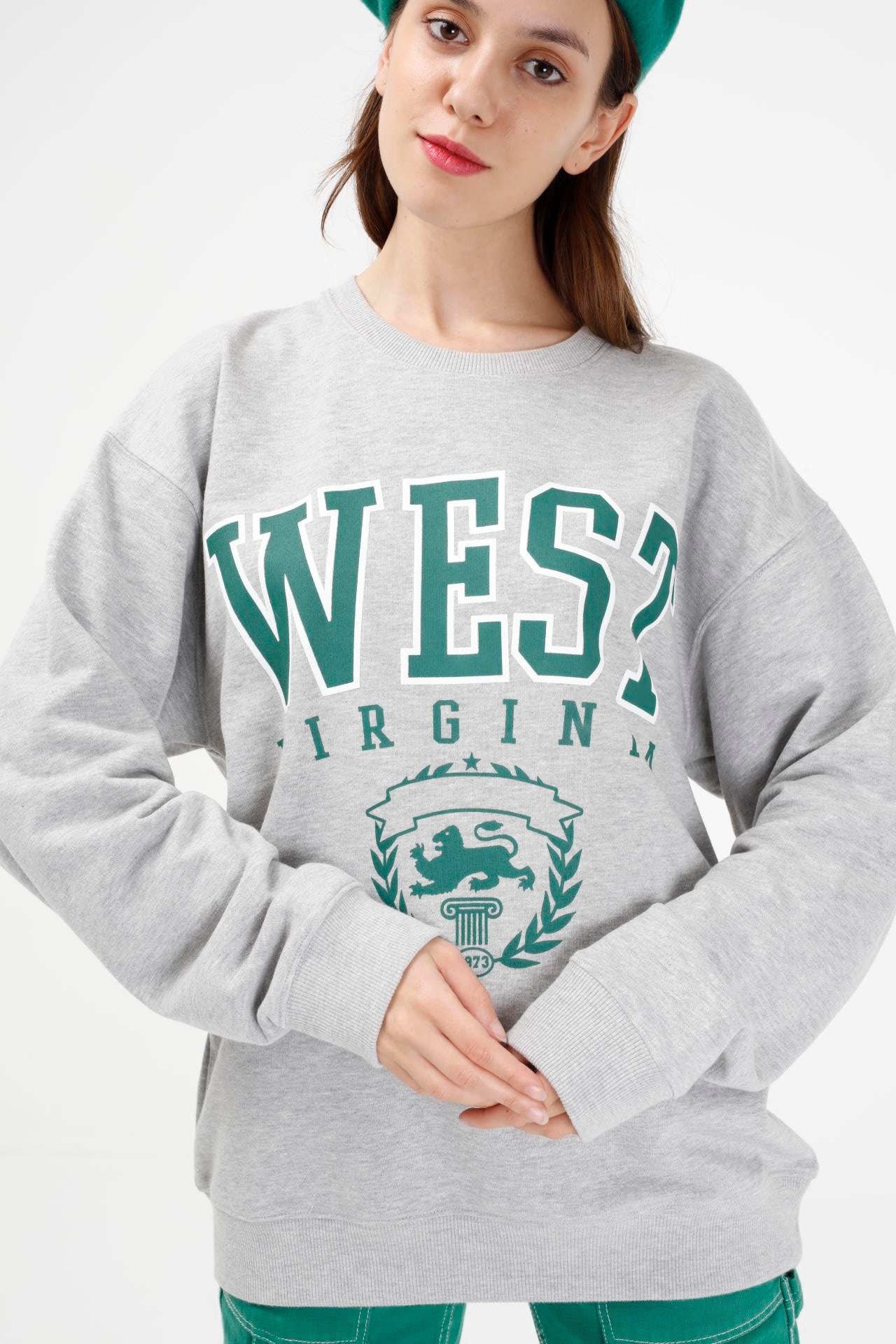 BRZ Collection Unisex Oversize West Virginia Sweatshirt