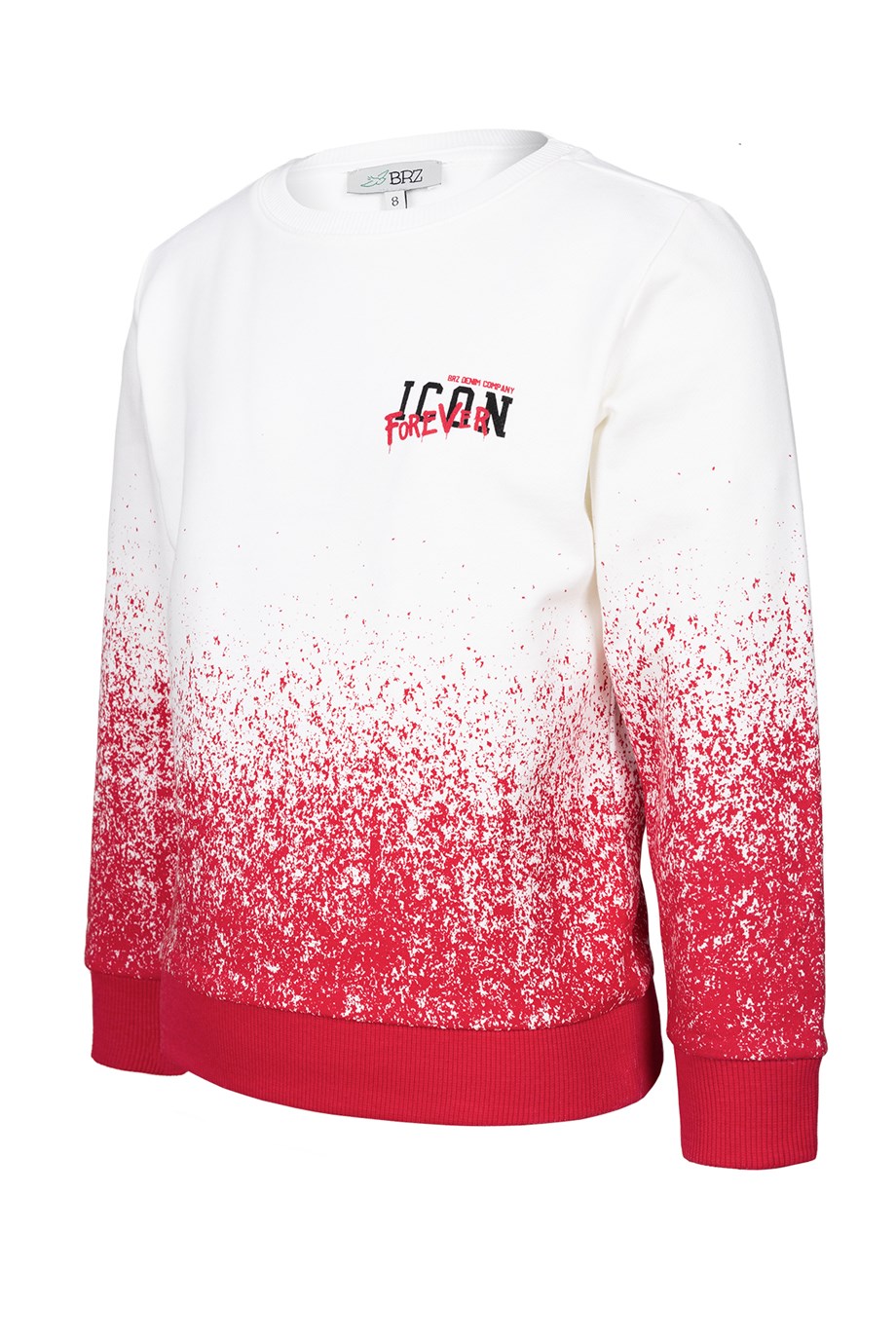 BRZ Kids Erkek Çocuk Baskılı Sweatshirt