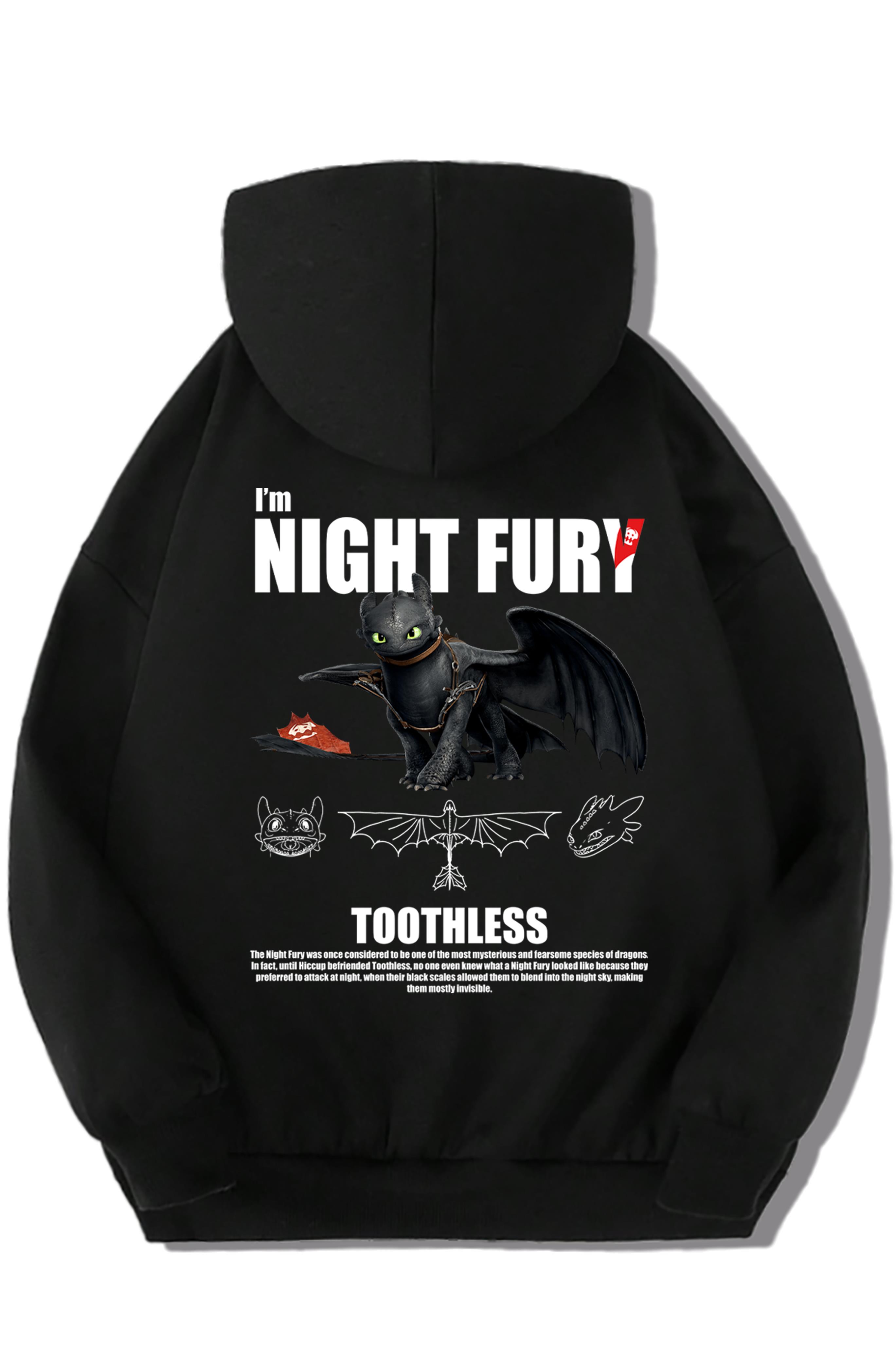 BRZ Kids Unisex Çocuk Night Fury Ejderhanı Nasıl Eğitirsin Hoodie