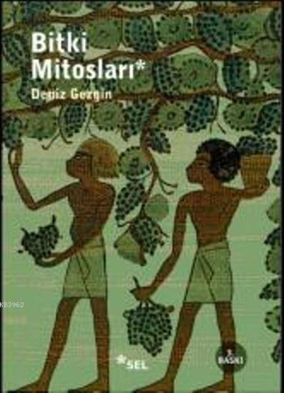 Bitki Mitosları