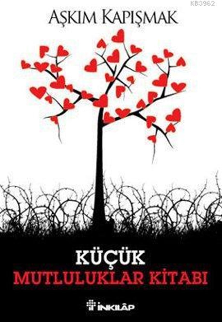 Küçük Mutluluklar Kitabı