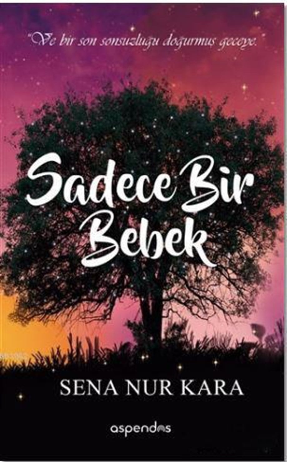 Sadece Bir Bebek