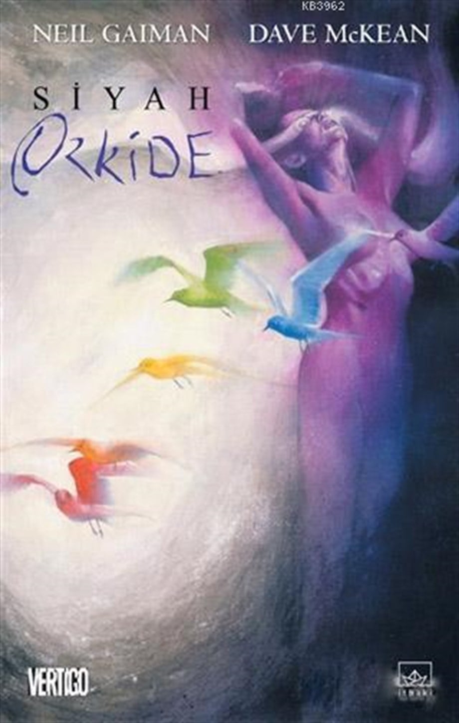 Siyah Orkide