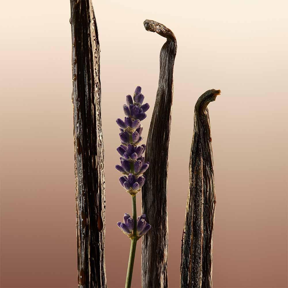 Burberry Goddess EDP 100 ml Kadın Parfüm