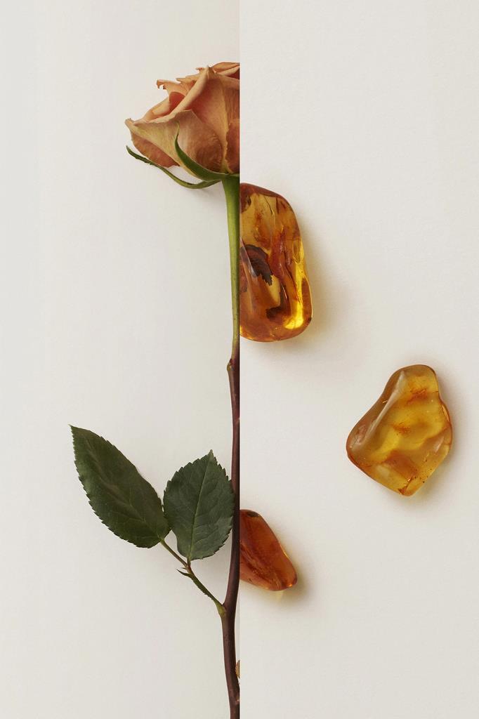 Burberry My Burberry Black PARUM 50 ml Kadın Parfüm 