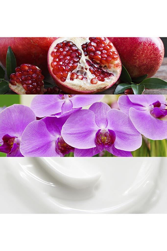 Calvin Klein Euphoria EDP 30 ml Kadın Parfüm