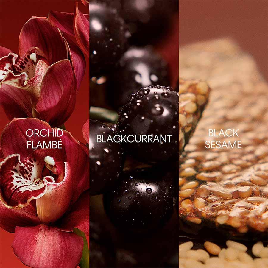 Calvin Klein My Euphoria EDP 100 ml Kadın Parfüm