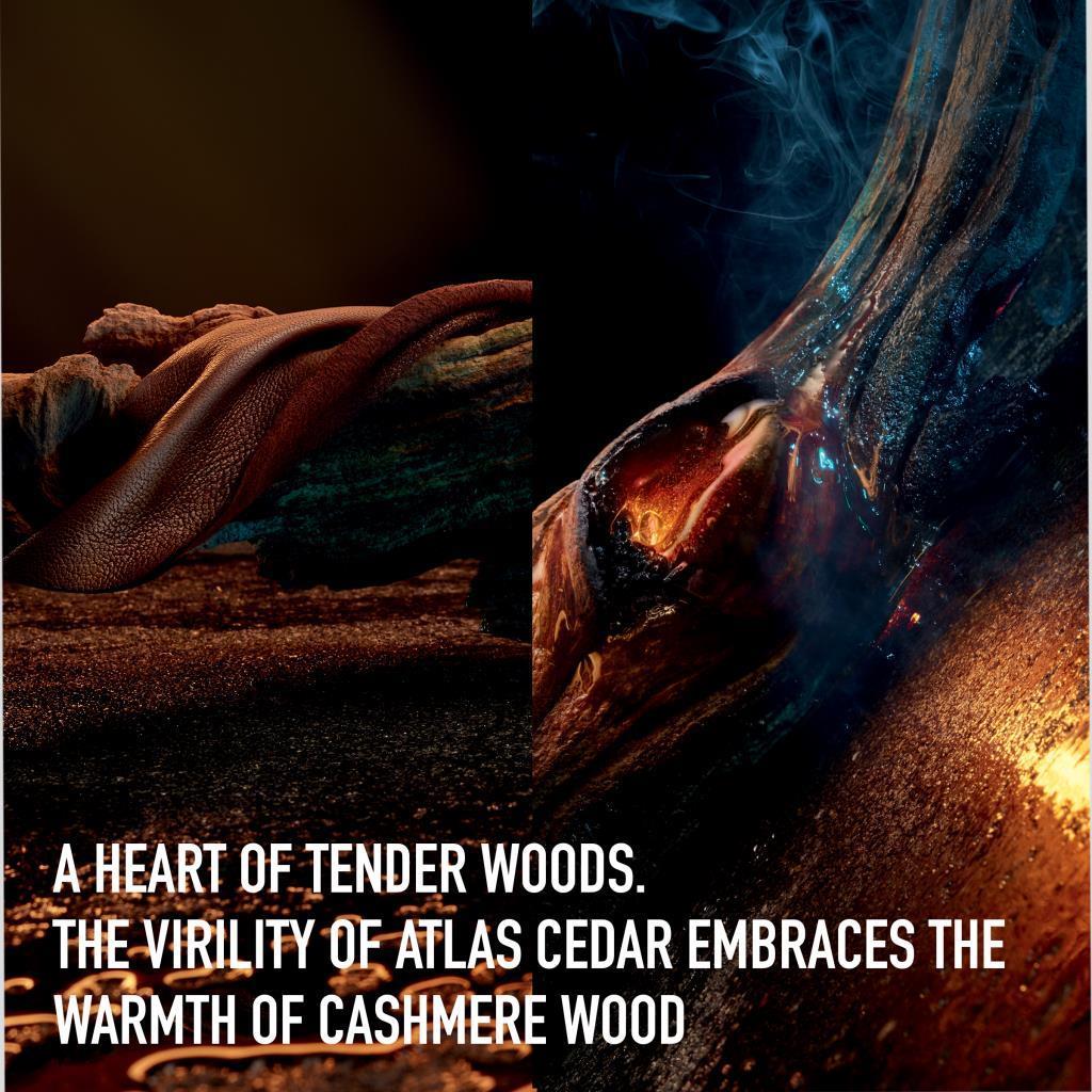 Dior Homme EDT 100 ml Erkek Parfüm