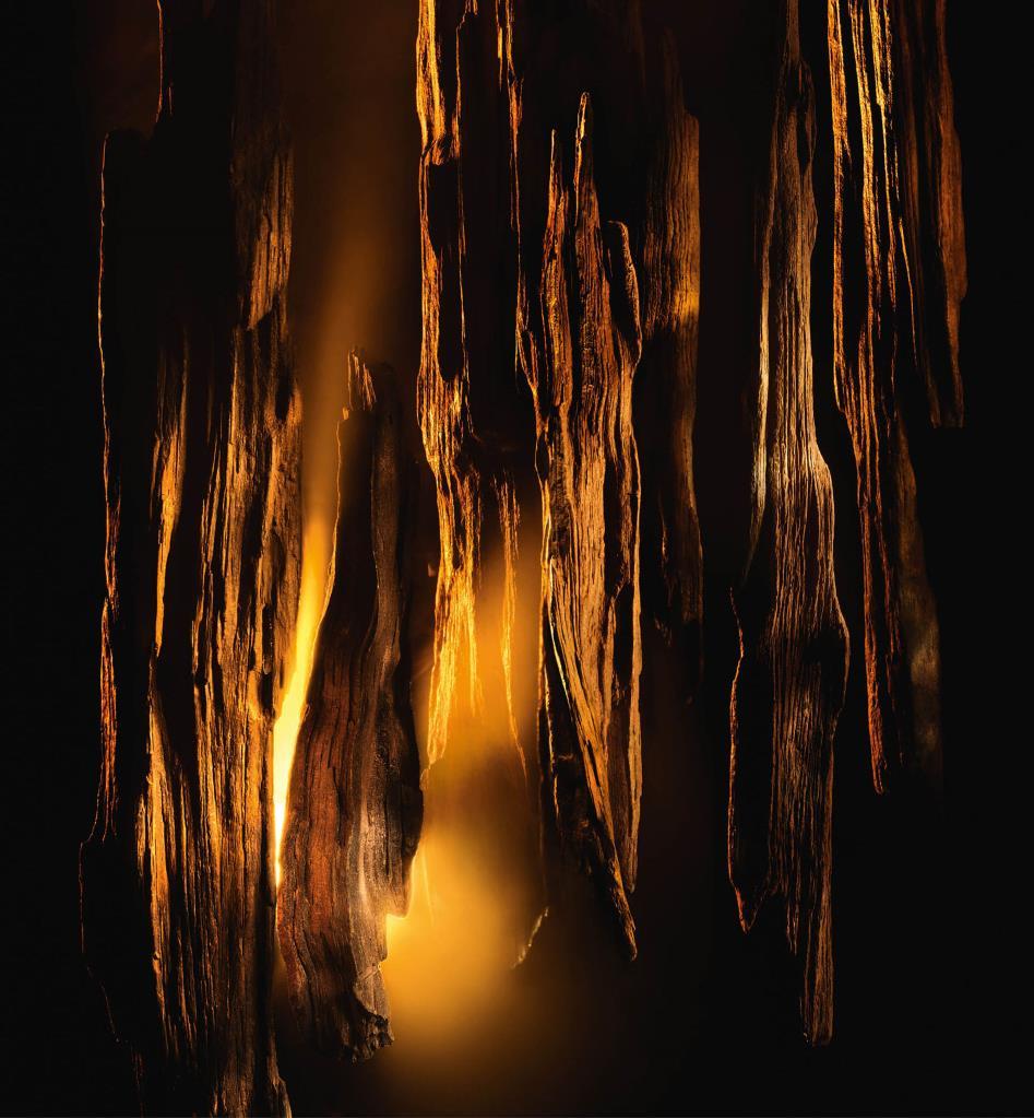 Dior Homme Parfum EDP 75 ml 2025 Erkek Parfüm