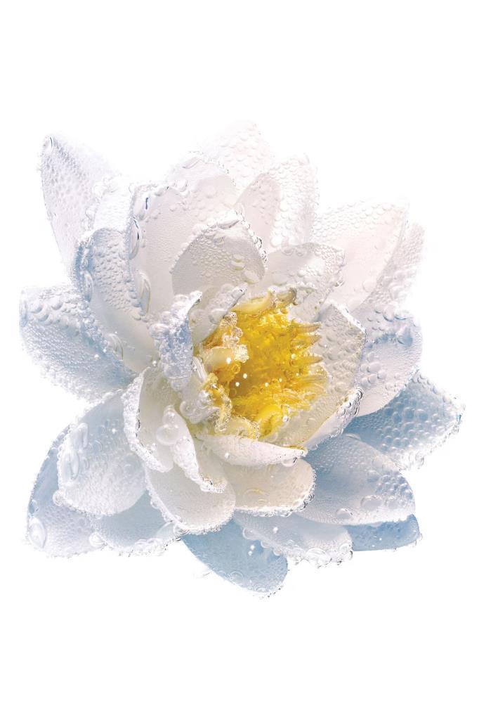 Dior Le Lait Demaquillant Cleansing Milk 200 ml Yüz Temizleyici