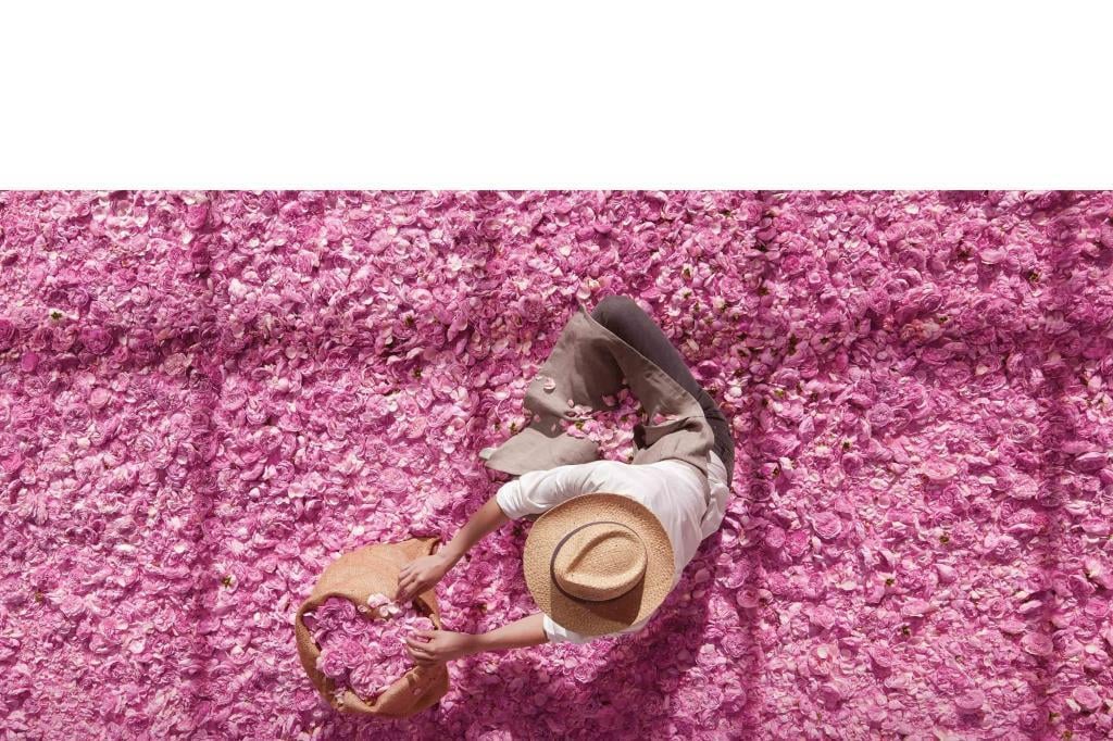 Dior Miss Dior Rose N'Roses EDT 100 ml Kadın Parfüm