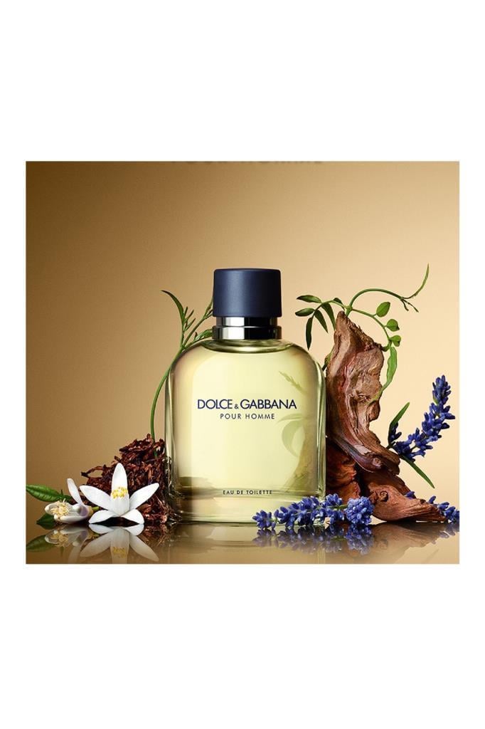 Dolce Gabbana Pour Homme EDT 75 ml Erkek Parfüm