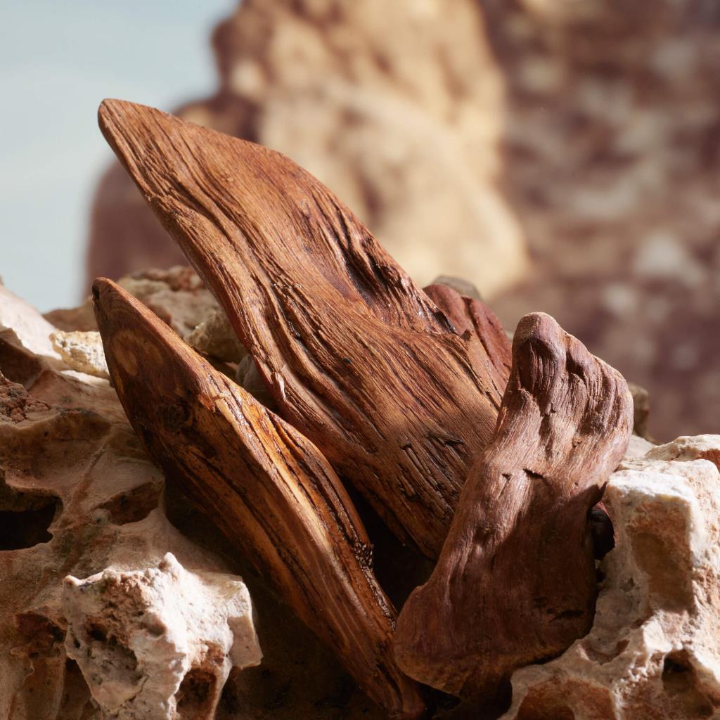 Dolce&Gabbana K Pour Homme Parfum EDP 100 ml Erkek Parfüm